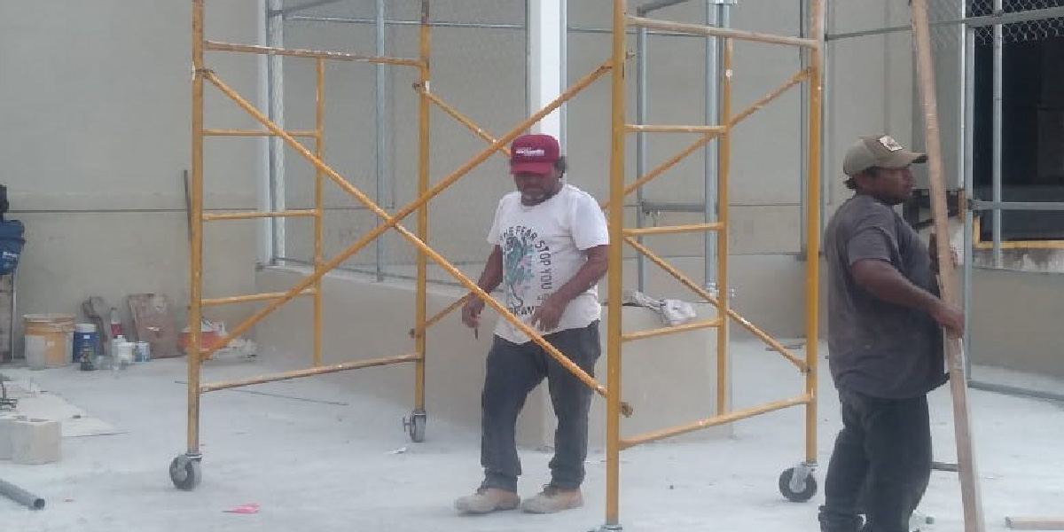 Andamios de asa del caribe 2-01